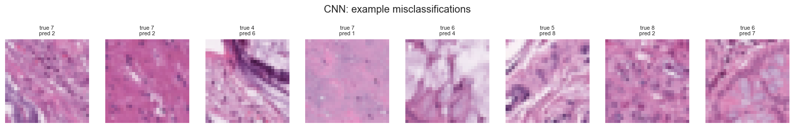 Grid of CNN misclassification examples with true and predicted labels.